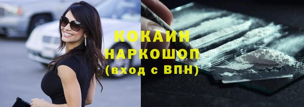 ешки Алексин