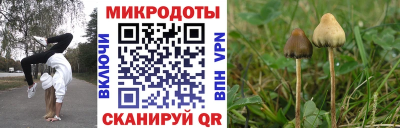 хочу наркоту  Конаково  Псилоцибиновые грибы мицелий 