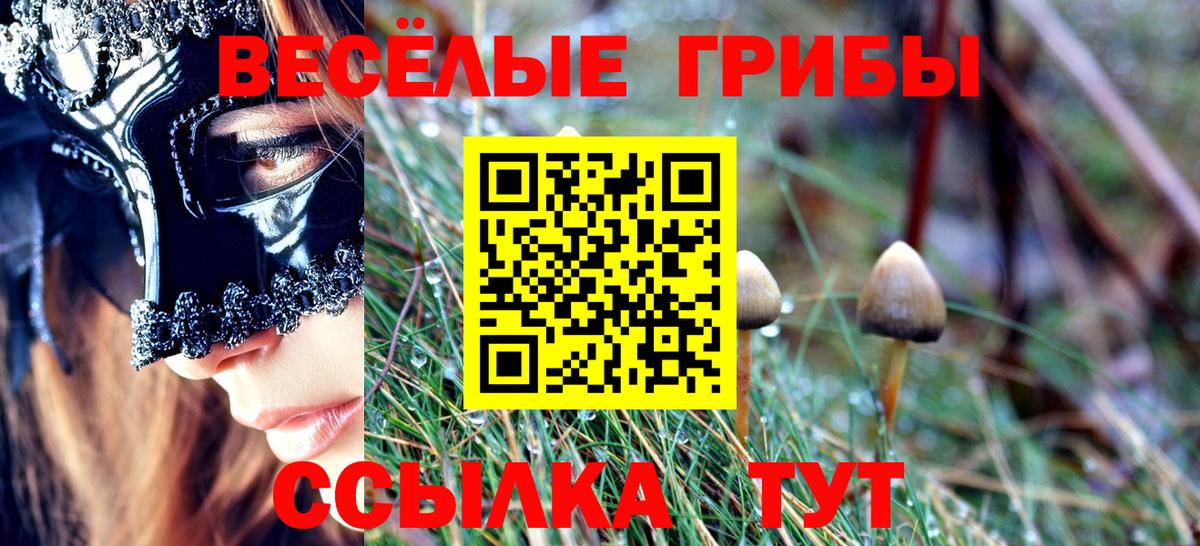 Псилоцибиновые грибы Magic Shrooms Конаково