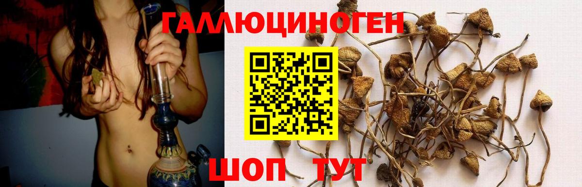 Конаково  Псилоцибиновые грибы мухоморы  Галлюциногенные грибы MAGIC MUSHROOMS  Вход с VPN 